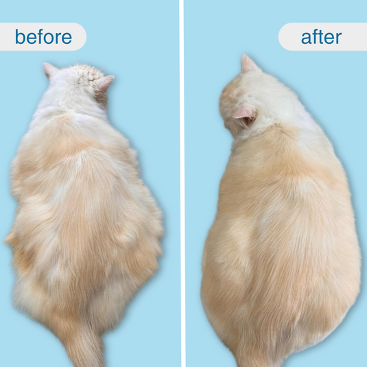 CATEVER EvoBrush™